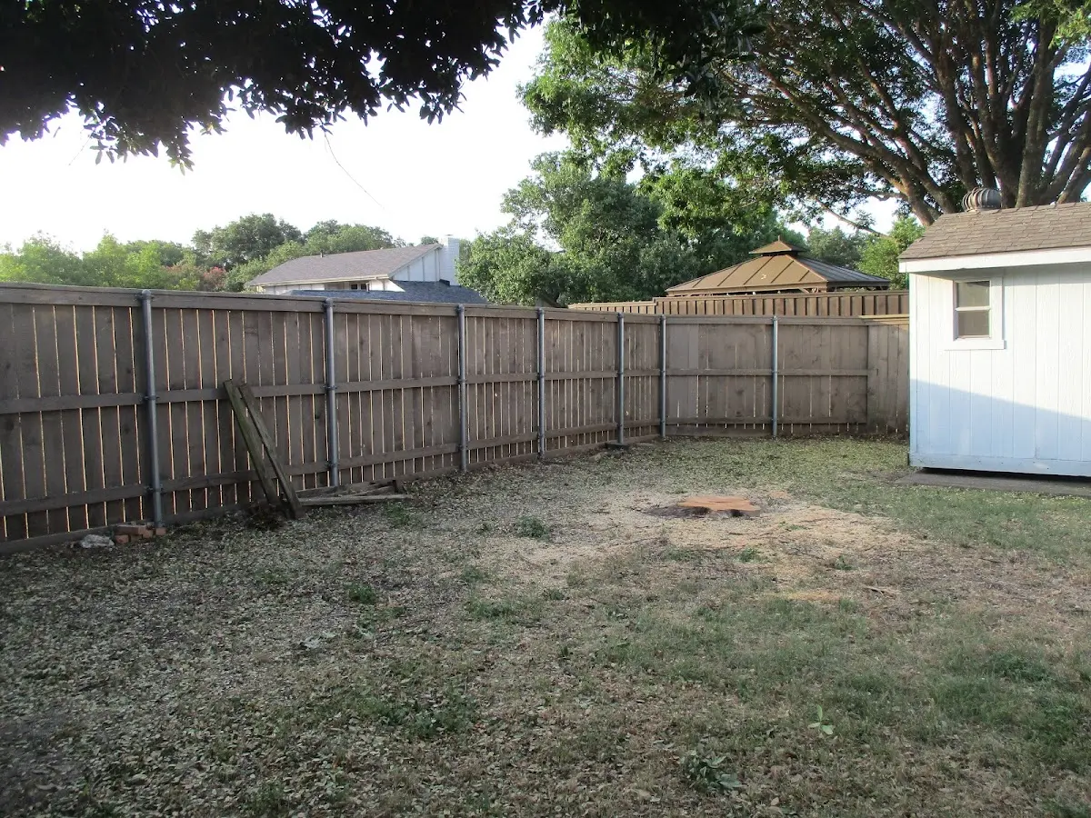 Cleared yard after professional tree removal in Schnellville